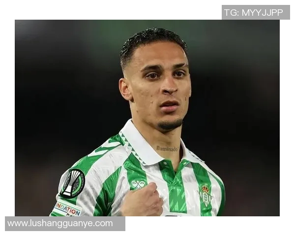 足球明星中谁的颜值最高最帅气引发球迷热议与讨论