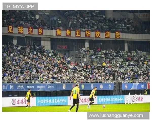 足球明星嘉伟的传奇人生与辉煌成就全景解析