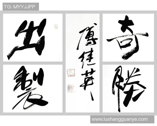 前进之鹰与乌之间的较量展现出勇气与智慧的碰撞与融合