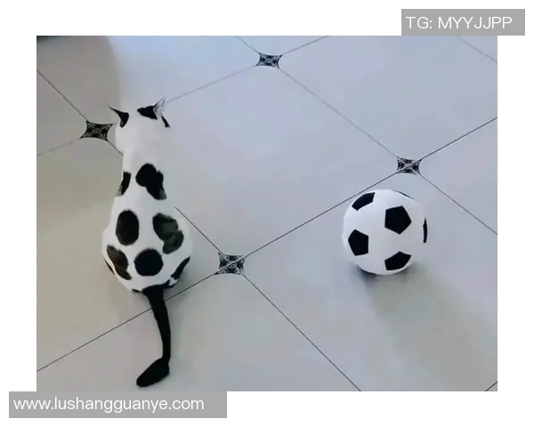 足球明星与猫咪的亲密关系谁是养猫最多的球场巨星 足球明星与猫咪的亲密关系谁是养猫最多的球场巨星