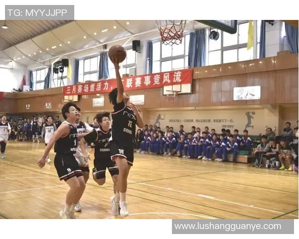 篮球小明星篮球小子带你领略青春热血与梦想拼搏的精彩旅程