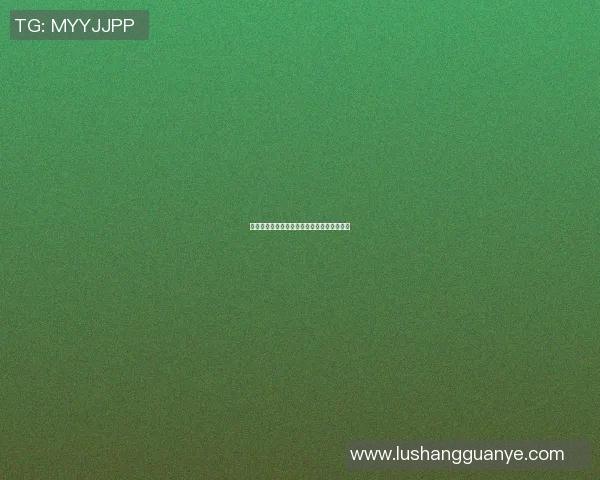 武汉本土篮球明星崛起的背后故事与成就分享